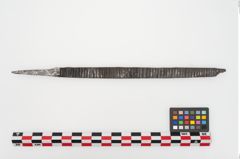 Foto von Eisenraspel (NHMW-PRAE-025089)